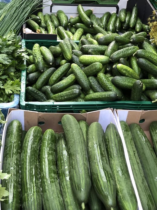 Gurken Bio Gemüsestand Gurken Gemüse