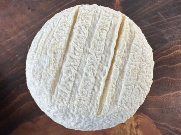 Crottin de Chavingnol AOP - klein aber fein – Bild 3