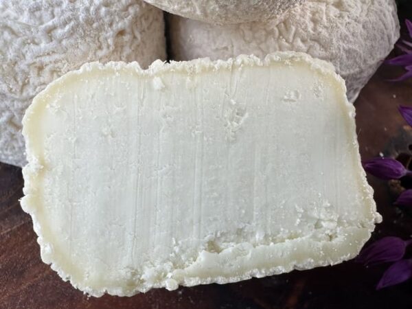 Crottin Chavignol AOP Ziegenrohmilch Anschnitt
