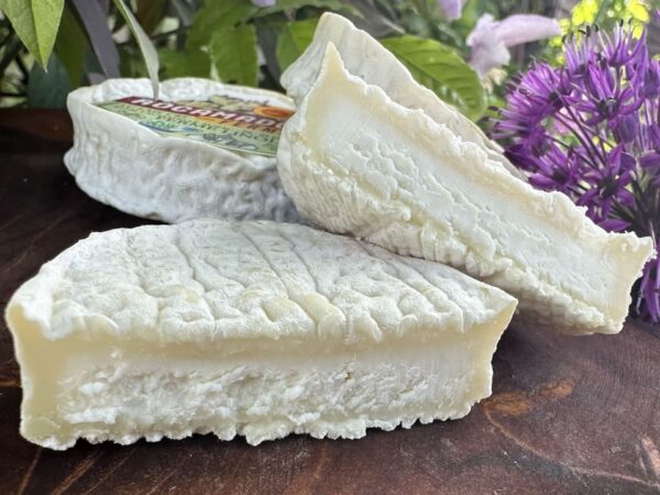 Ziegenrohmilch, französischer Käse,