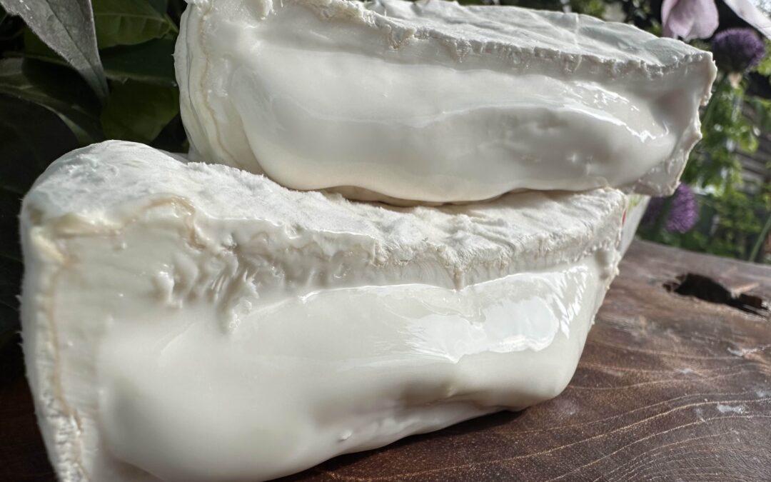 Käse online kaufen – worauf Du achten solltest