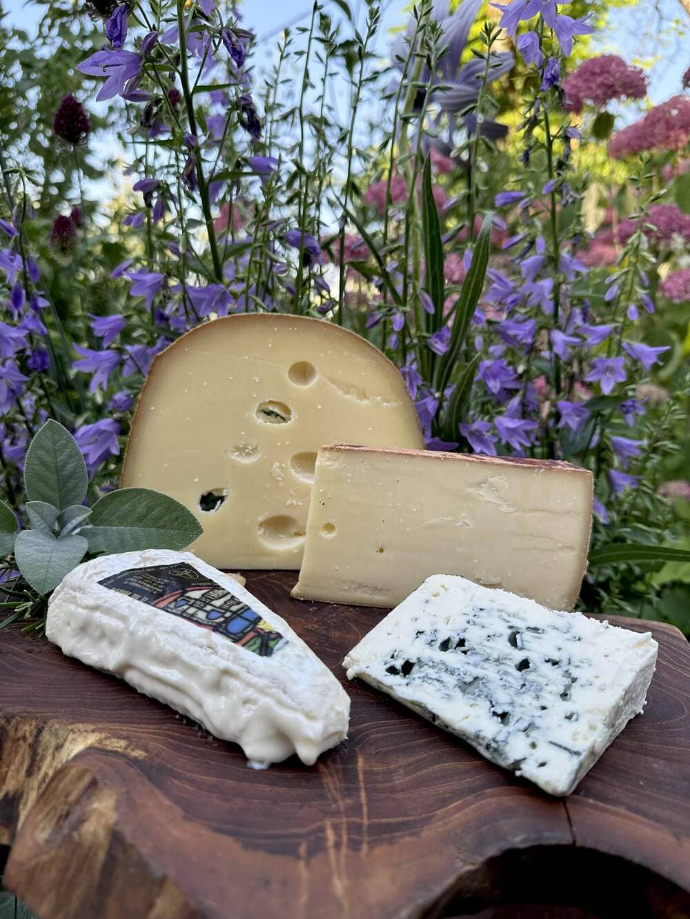 Käse kaufen in Hennef, Käseplatten, Käse auf Märkten, Käse in der Nähe