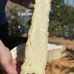 Schweizer Weichkäse vom Käsemeister
