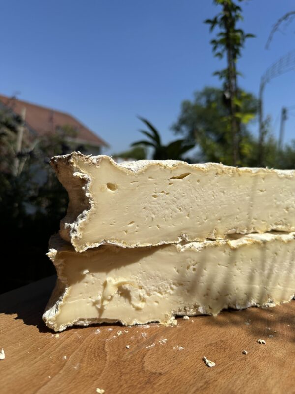 A1652 - der Bunkerkäse – Bild 3