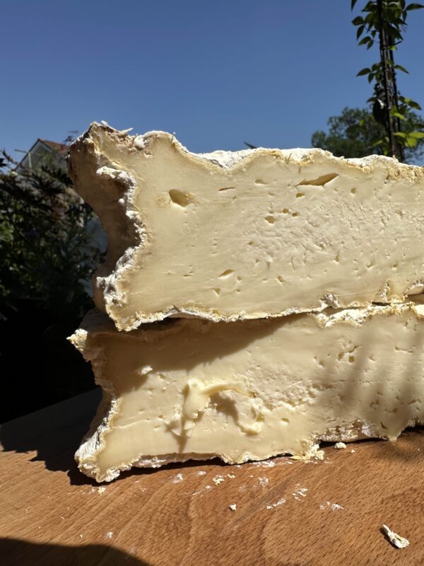 Bunkerkäse-Weichkäse-kräftig