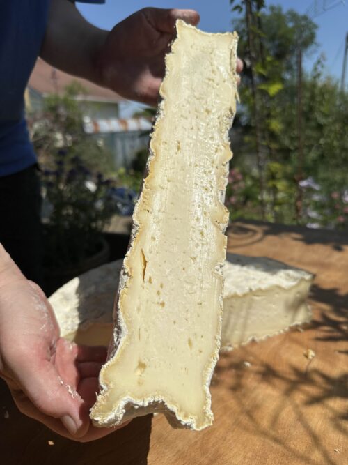 Schweizer Weichkäse vom Käsemeister