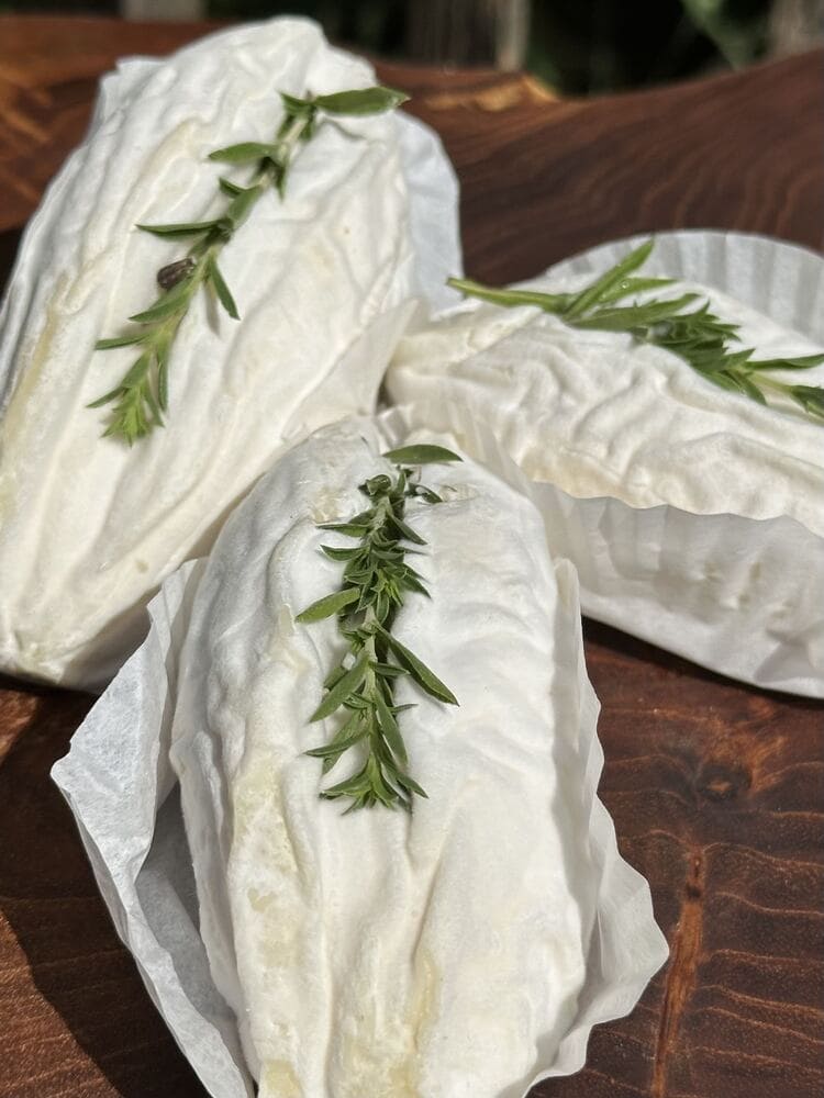 Rovethym - frz. Ziegenkäse, Weichkäse mit Thymian