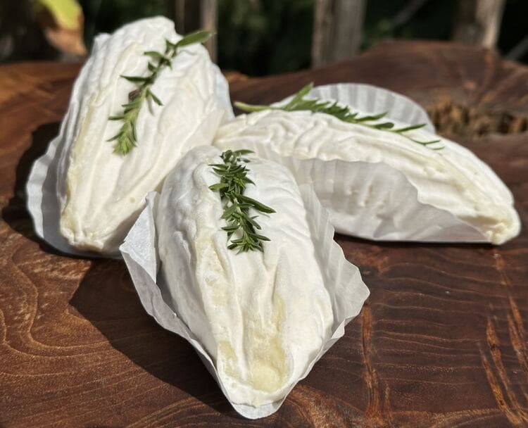 Rovethym - frz. Ziegenkäse, Weichkäse mit Thymian – Bild 5