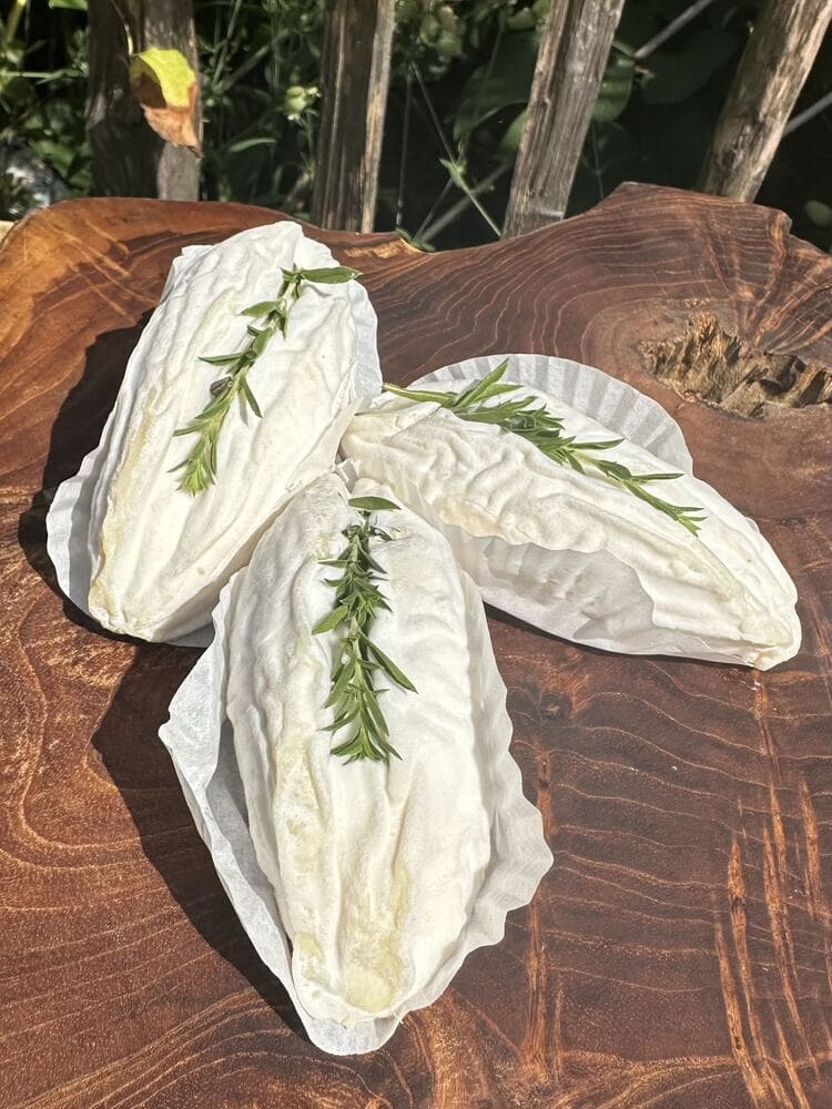 Rovethym - frz. Ziegenkäse, Weichkäse mit Thymian – Bild 4