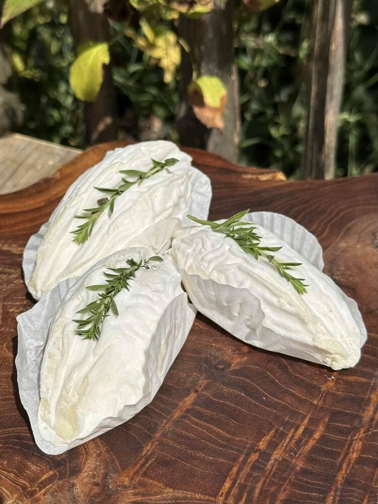 Rovethym - frz. Ziegenkäse, Weichkäse mit Thymian – Bild 3