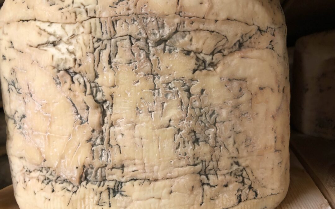 Der James Bond der Gorgonzola – wahnsinnig cremig