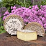 Tomme de Croquants - nussig, cremig - mit Walnusslikör