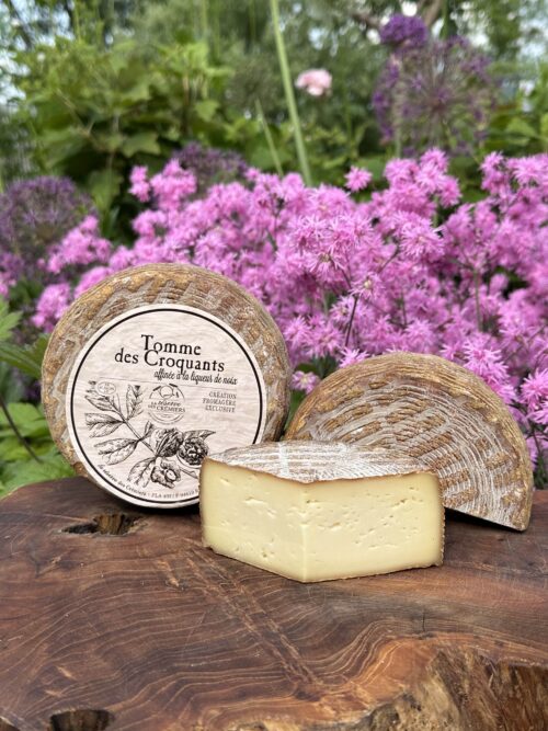 Tomme de Croquants - nussig, cremig - mit Walnusslikör