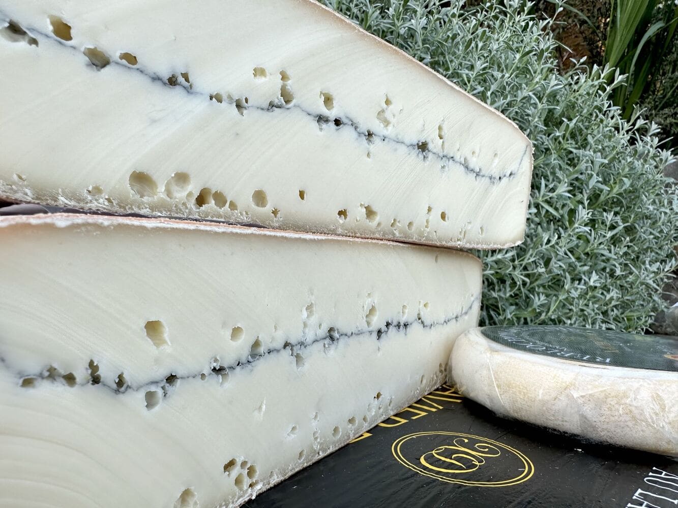 Morbier von Xavier David