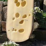 junger Emmentaler Anschnitt angerichtet