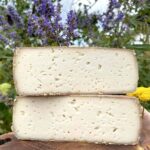 Le Moulis de Chèvre Schnittkäse aus Frankreich